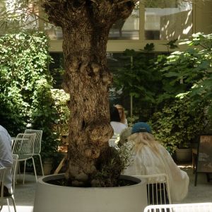 Fotografie MOM - 5